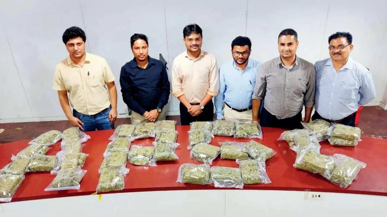 Mumbai Crime: California weed syndicate busted at international cargo airport
A major drug syndicate which was supplying large quantities of marijuana from California to India by concealing the contraband in various household items has been busted by the Airport Special Cargo Commissionerate at the International Courier Terminal. In the past week, customs officers have in several such interceptions seized North American marijuana worth Rs 14 crore. A total of three accused, including the mastermind, have been arrested in connection with the case so far.