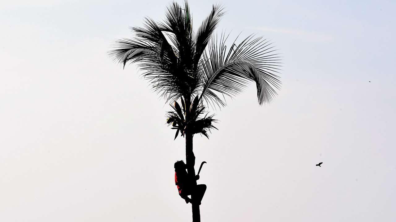 Mumbai Diary: Monday Dossier