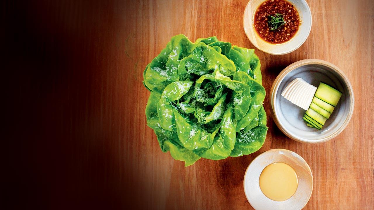 Lettuce celebrate