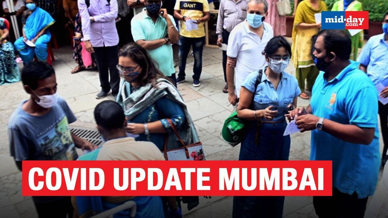 Mumbai Sees 50 Per Cent Drop In Daily Covid-19 Cases