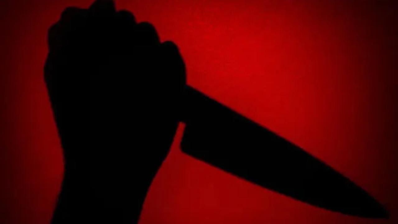 Thane: 7 buffaloes killed, 15 injured by unidentified persons in Bhiwandi