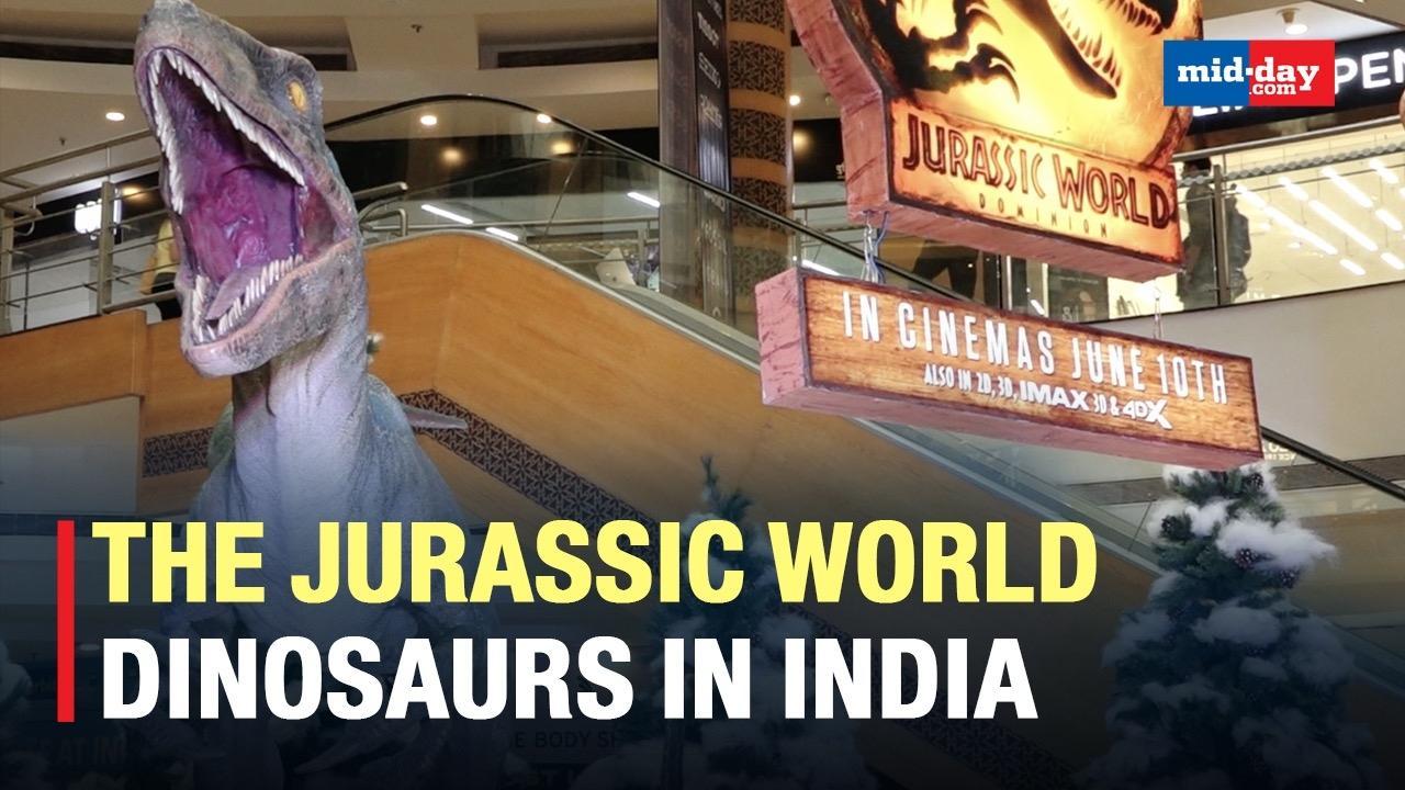 Samiksha Jaiswal And Sheen Dass Unveil The Jurassic World Dinosaurs In India