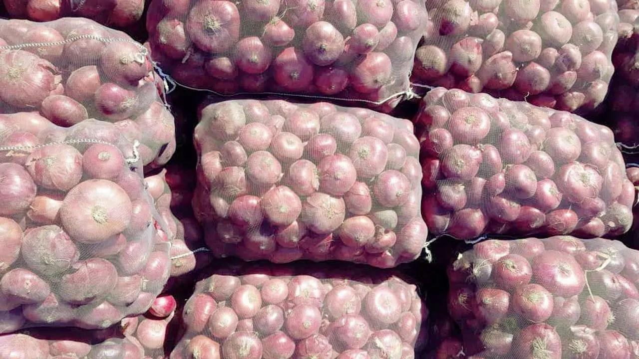 Maharashtra: Onion farmers complain of low prices; official cites good yield, lack of storage as causes