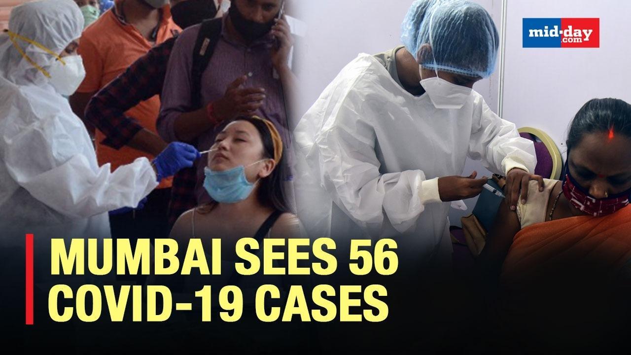 Mumbai Sees 56 Covid-19 Cases, No Death, But Fewer Tests Done