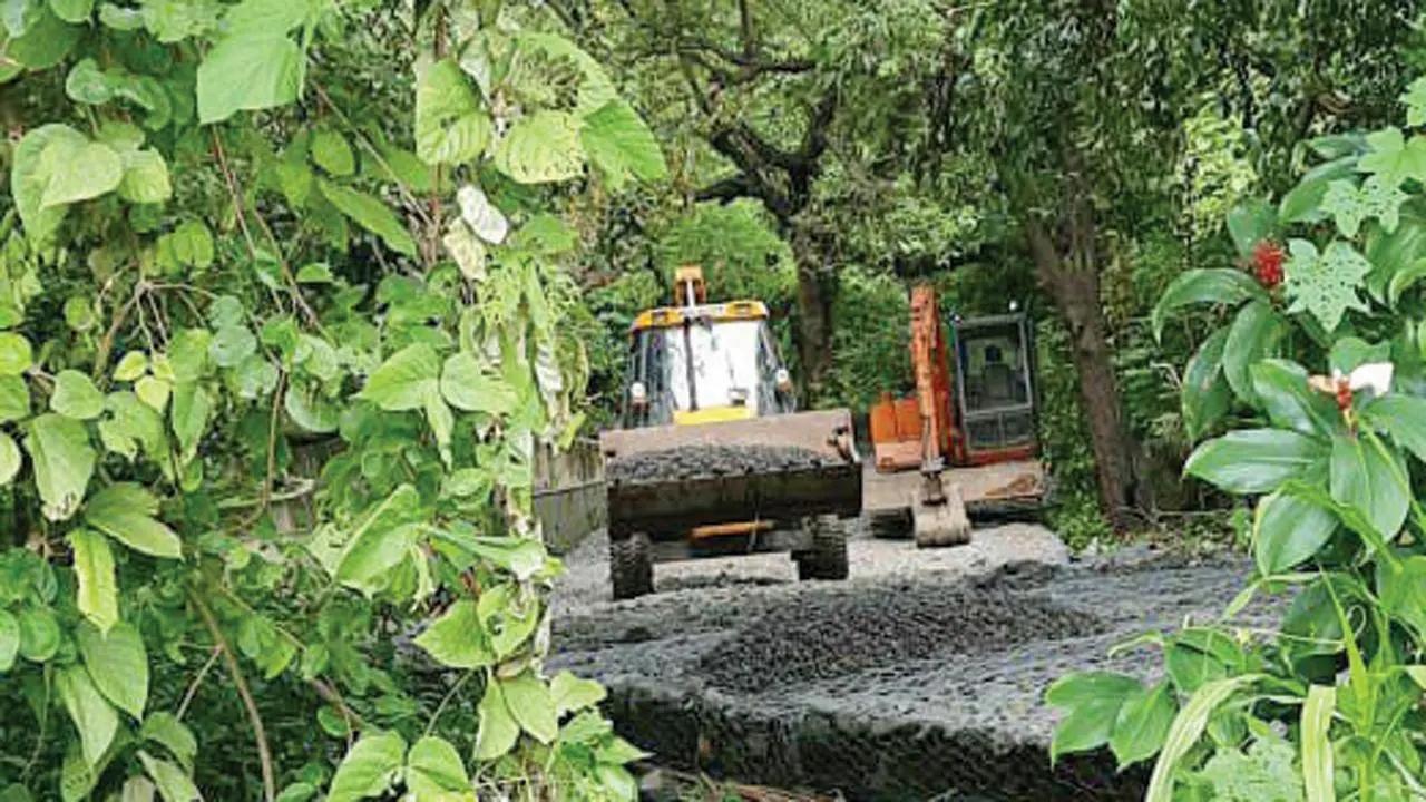 Bombay High Court restrains BMC from carrying out reclamation work at Powai lake; terms proposed cycle track as illegal