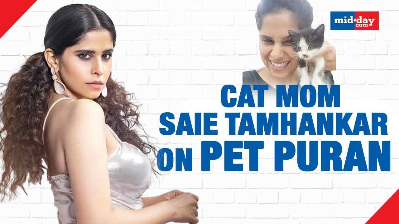 Does Saie Tamhankar Know Which BTS Member Has Habits Similar to a cat?
