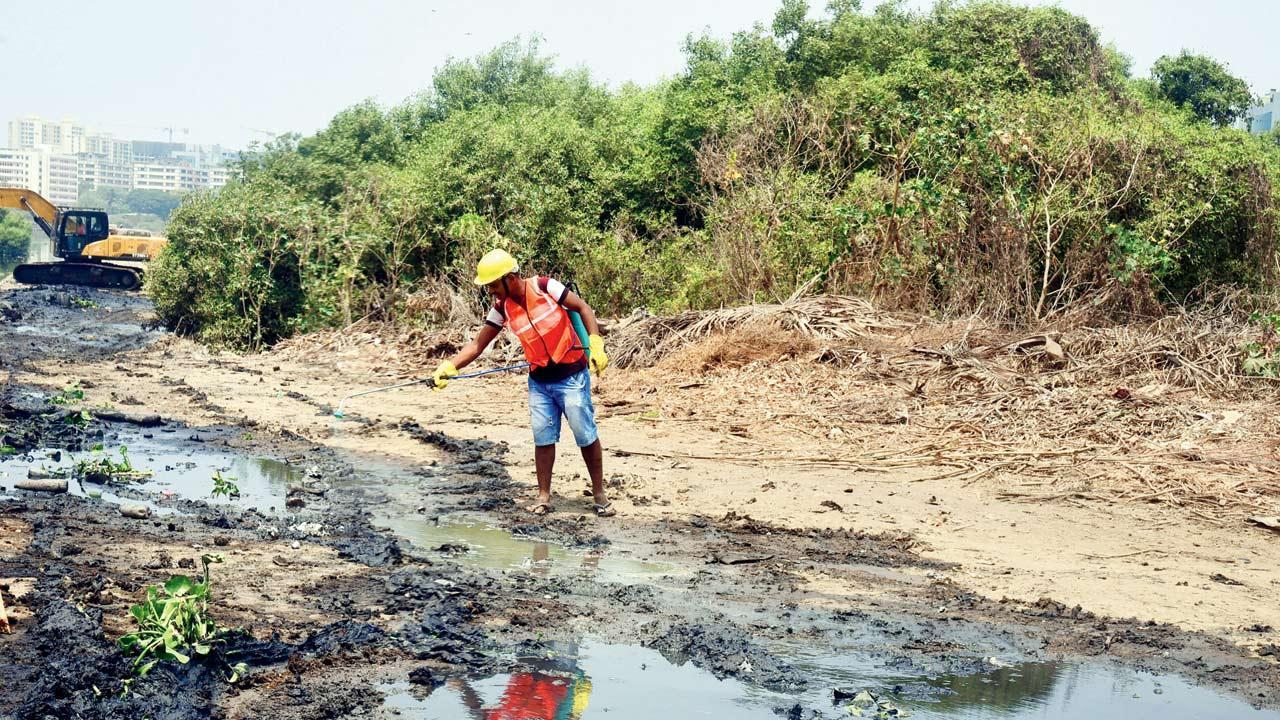 Mumbai: BMC desilts only 39 per cent of nullahs targeted for pre-monsoon clean-up