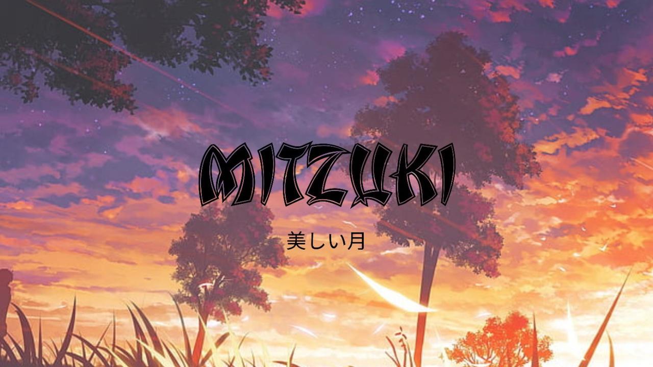 Mitzuki Adventures is offering a solid roadmap and exclusive art to their holders