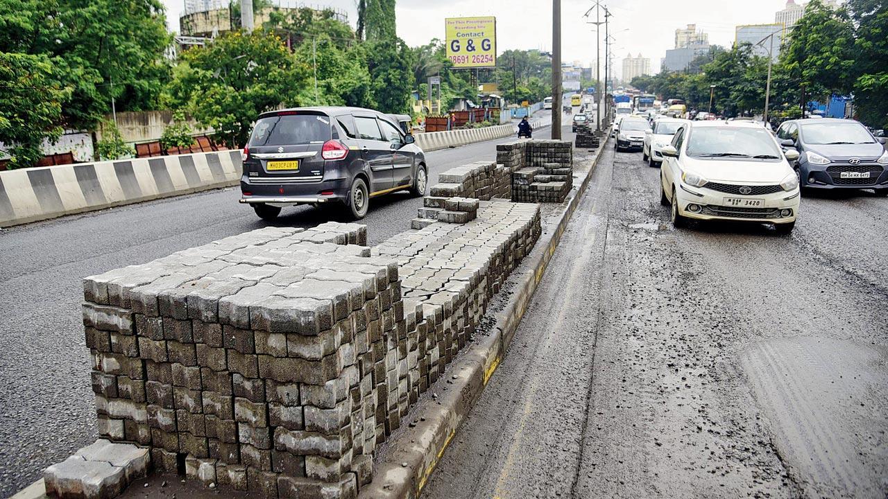 Noise barriers, box culverts: MSRDC’s mitigation steps for wildlife movement