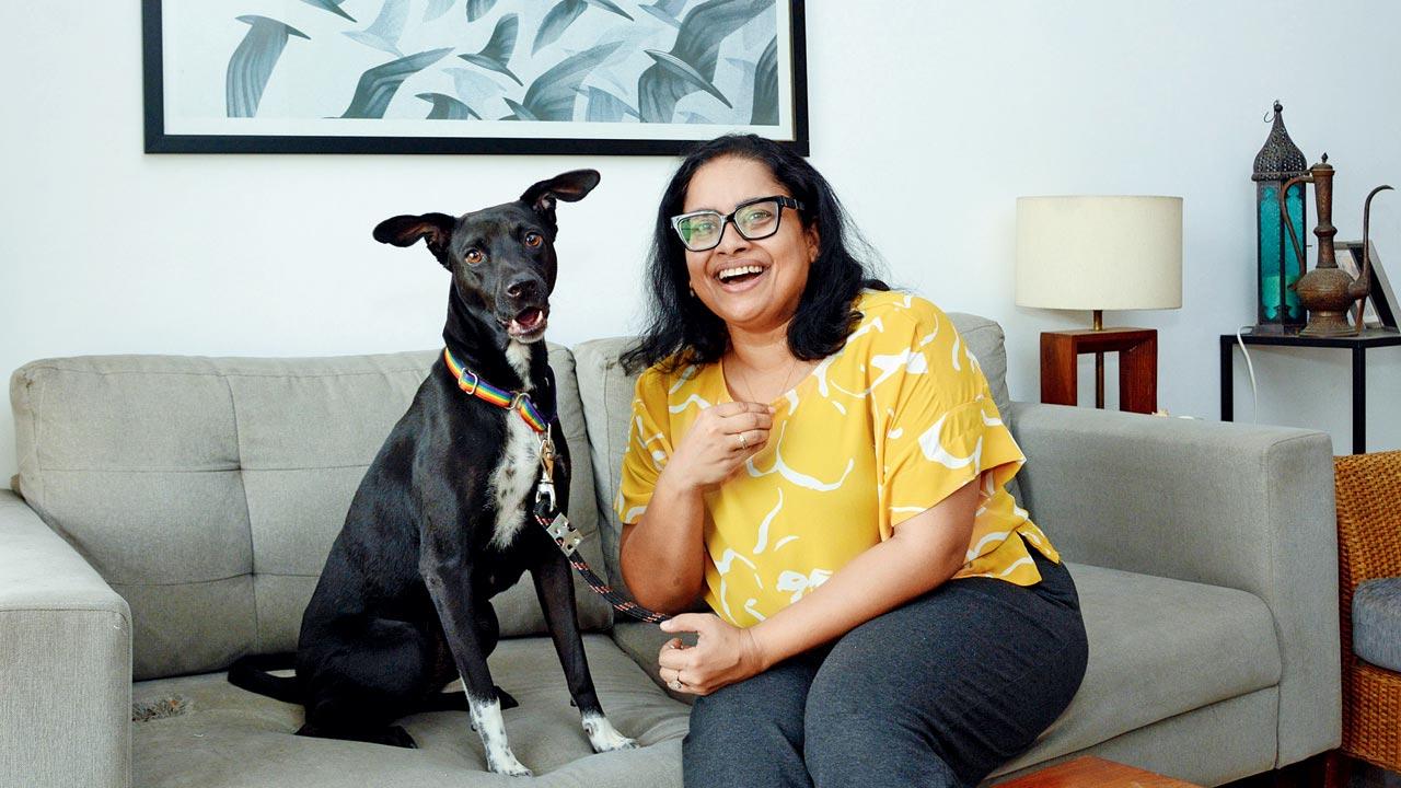 Amrita Chatterjee is training Maple to wear a muzzle without resistance to bring down the possibility of bites to zero. Pics courtesy/Ashish Rane