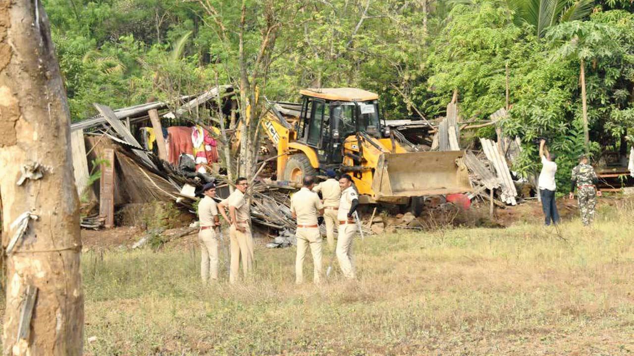 100 acres of Sanjay Gandhi National Park reclaimed from longtime encroachers