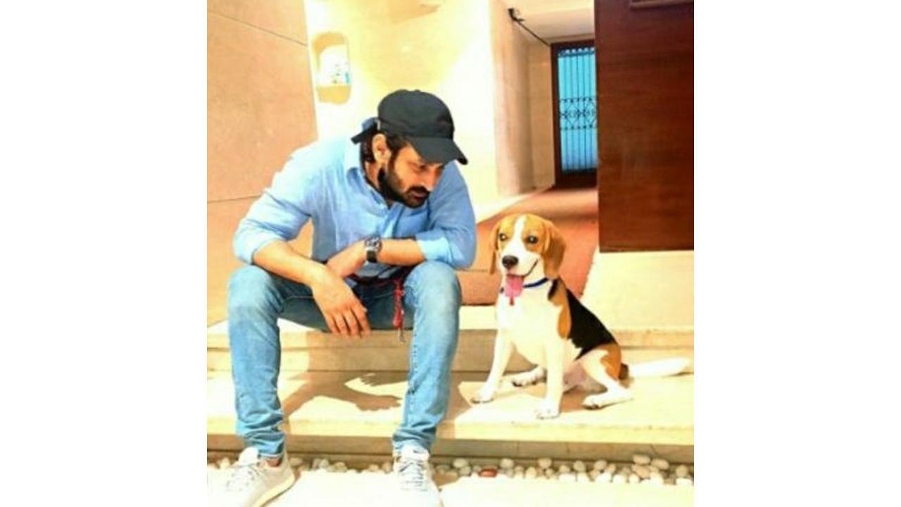 Dog psychologist, dog trainer and behaviourist Petman Adil, a one stop shop for your furry critters