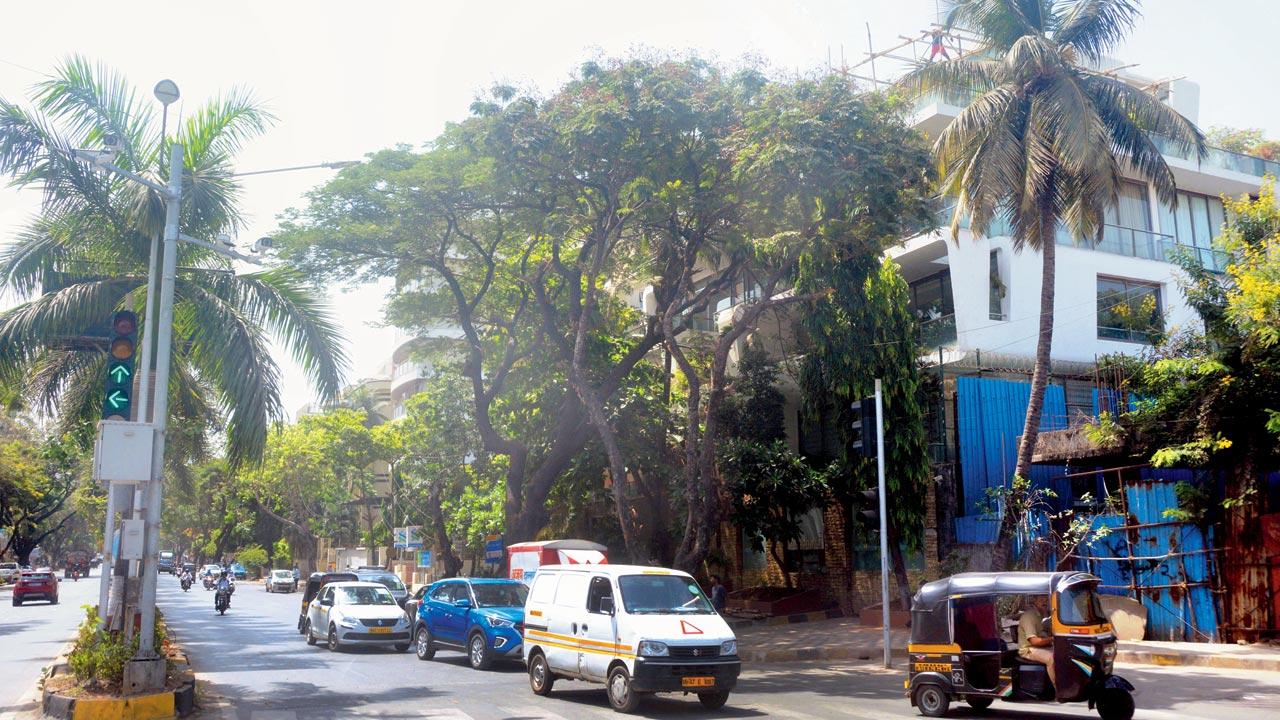 A view of the premises of Kapole CHS. Pic/Satej Shinde