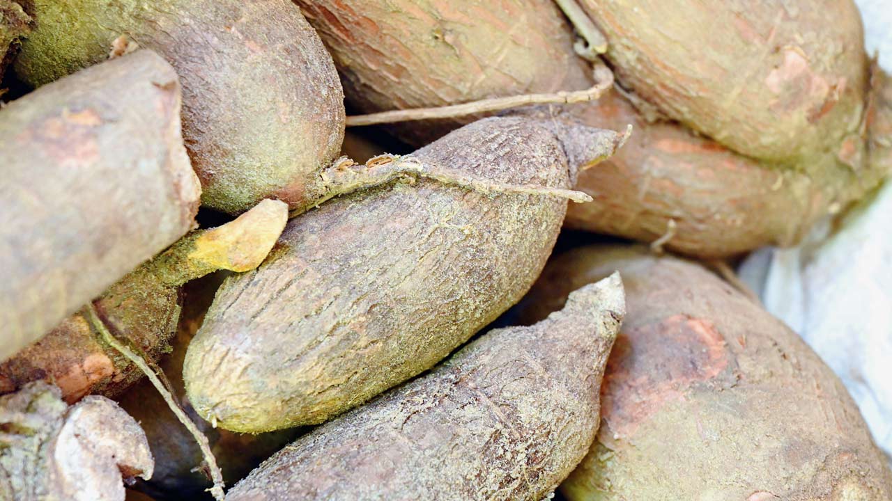 Sweet Potato