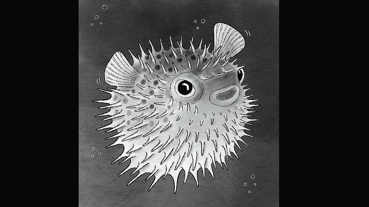 The ballooning ways of a pufferfish act as a counterclaim mechanism