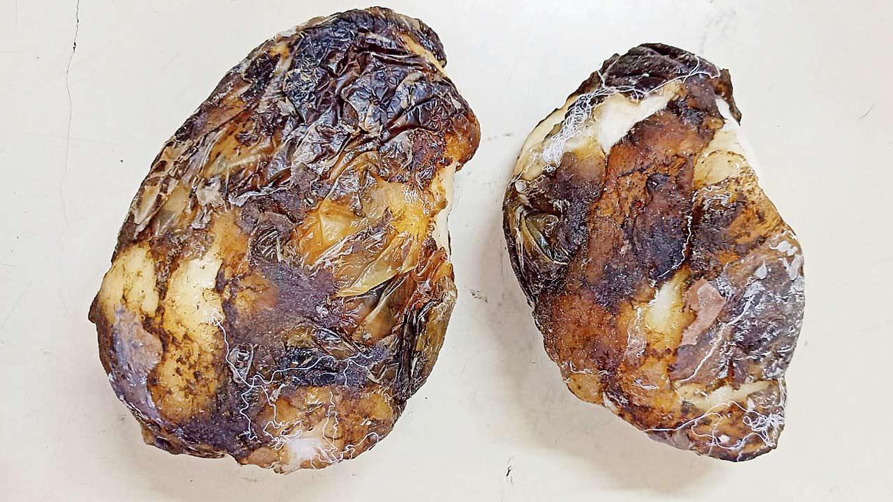 Idli seller held with whale puke worth Rs 5 crore