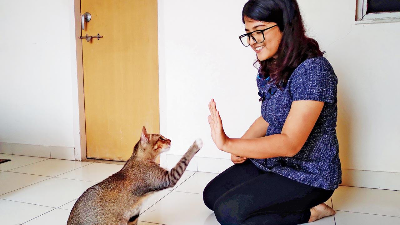 When Deeksha Honawar sensed that Kaapi was amiable to learning, she started teaching her tricks