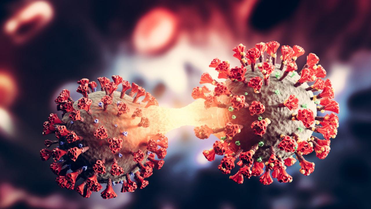 Asymptomatic people not responsible for spreading Covid-19 as believed: Study
