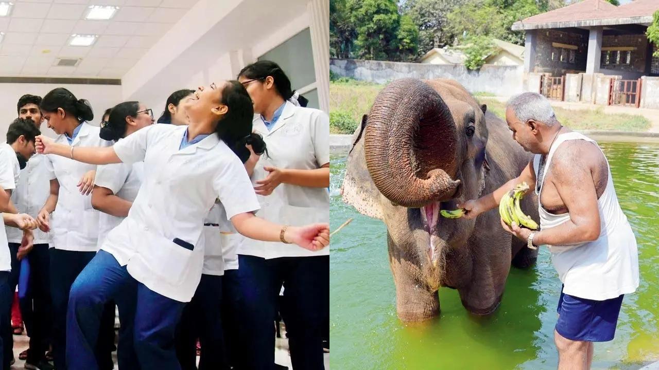 From students dancing to elephant enjoying bath time, Mumbai's offbeat moments
