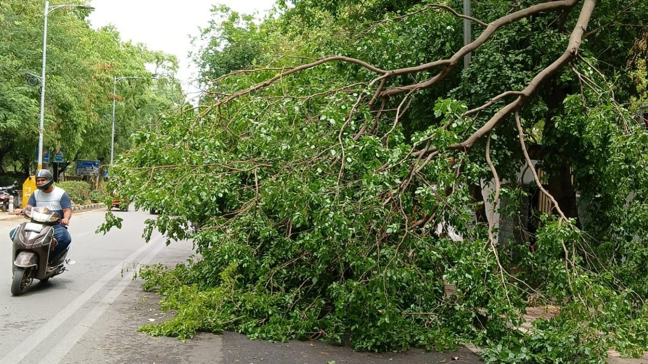 The IMD also warned that impact is expected due to the ongoing rain and thunderstorm and advised people to follow a few precautions