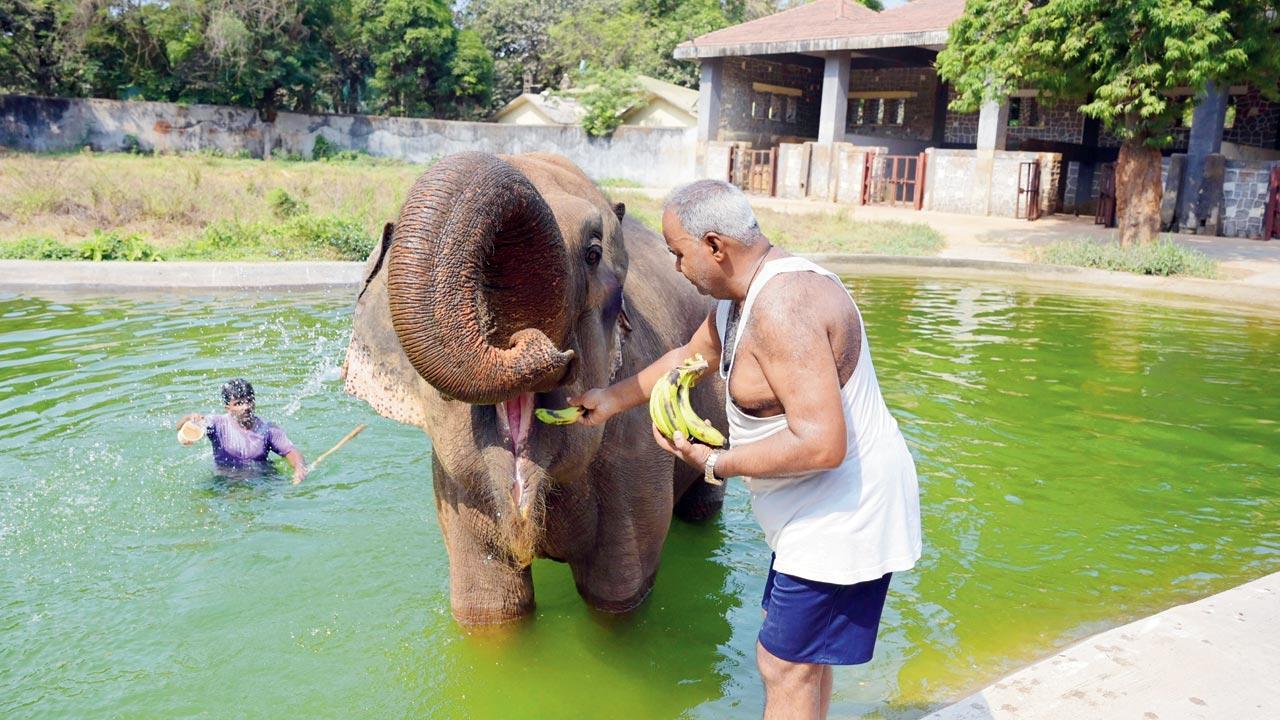 Mumbai Diary: Monday Dossier