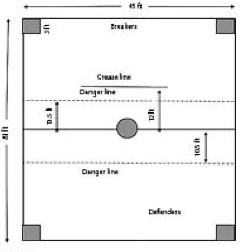 For formal tournaments, the playground has to be 81 ft in length,  and 45 ft in breadth. Pic courtesy/Bloomsbury India
