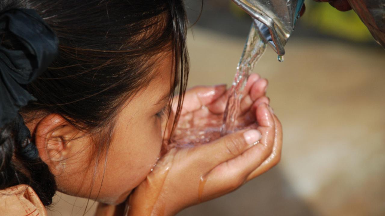 Heat wave affects persons with comorbidities, children and young adults more: Expert