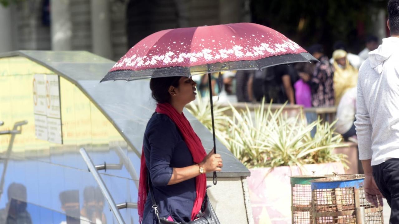 Delhi, Haryana and Uttar Pradesh, have been experiencing record high temperatures over the past two months. In the last week of April, the city saw temperatures rise up to 46 degrees Celsius due to a heatwave