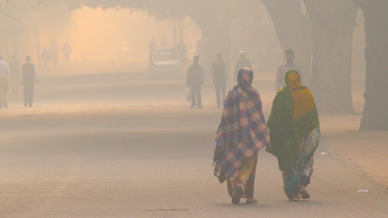 Pollution led to over 23.5 lakh premature deaths in India in 2019, highest in world: Lancet study