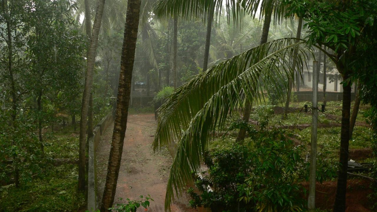 Monsoon hits Kerala, three days ahead of normal date