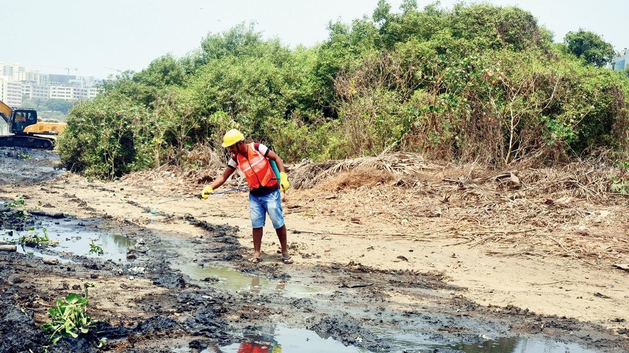 A civic official inspects cleaning of Mithi river at BKC, on April 14. Pic/Shadab Khan