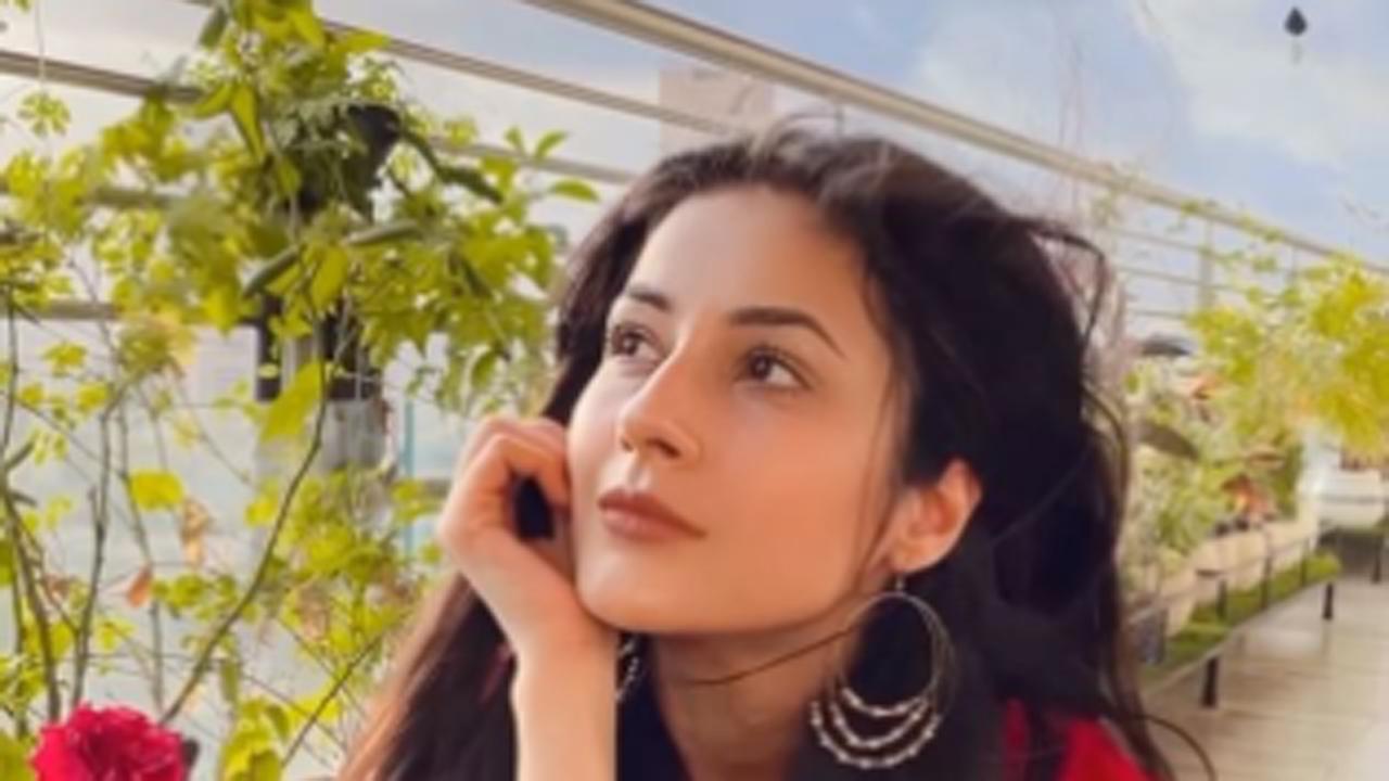 Shehnaaz Gill looks like a fresh breeze as she grooves to Pakistani song 'Pasoori'