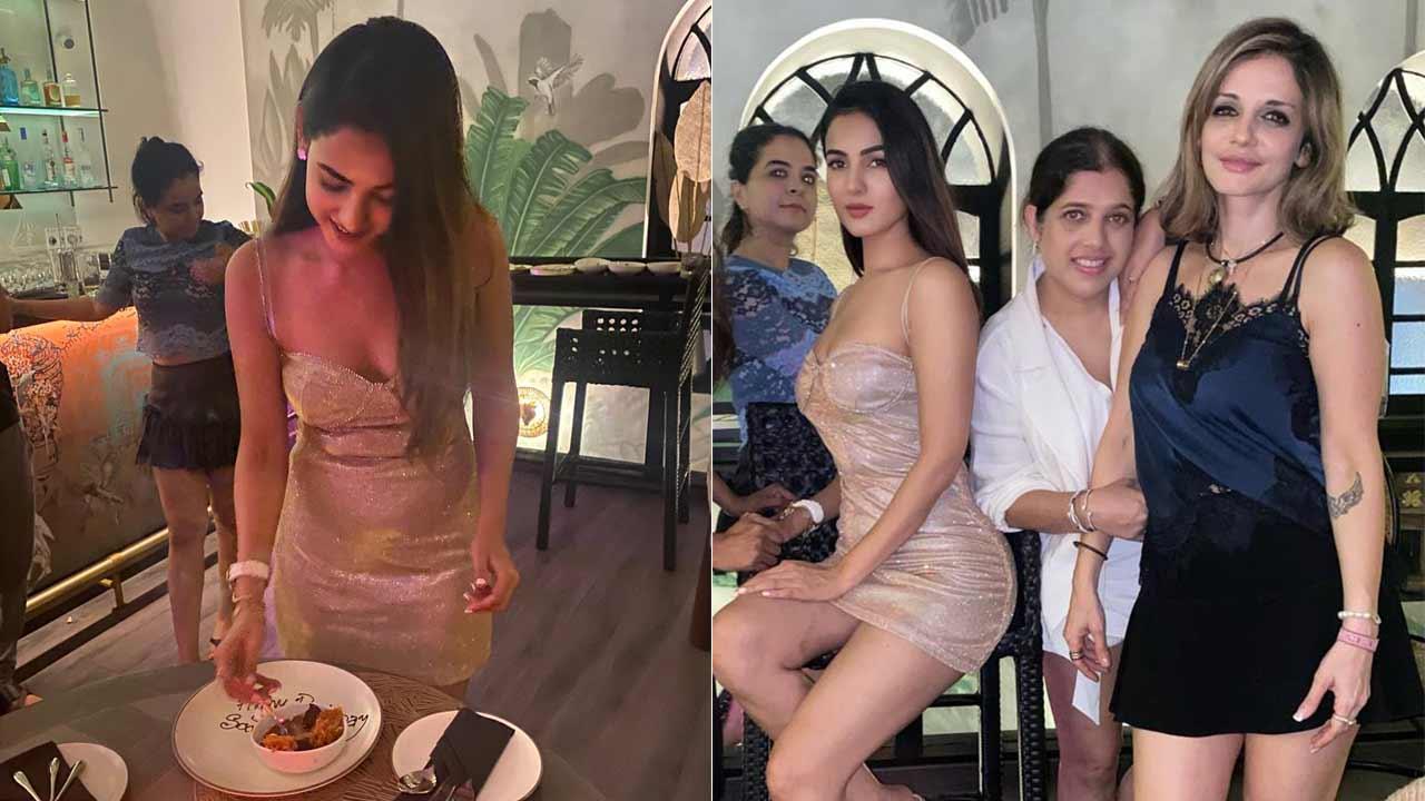 A collage of Sonal Chauhan's birthday celebration