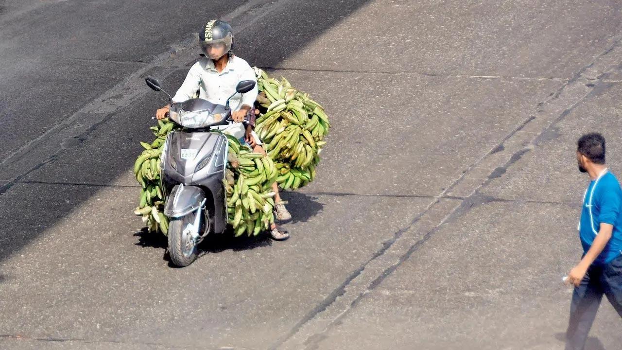 Go Bananas: A biker does a fine balancing act with a pile of bananas riding pillion on Mankhurd Link Road. Pic/Sayyed Sameer Abedi