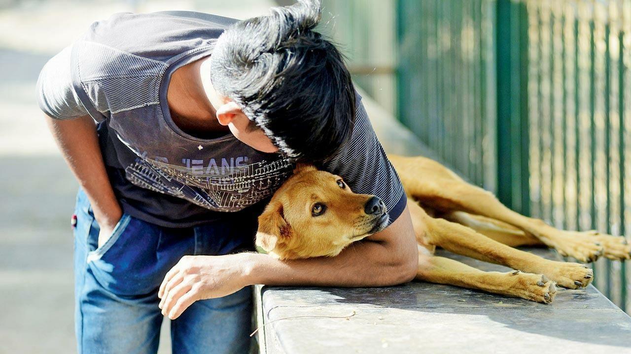 I've only got eyes for you: A young man holds his pet close as the canine endearingly looks into his eyes in Matunga on Monday.Pic/Atul Kamble