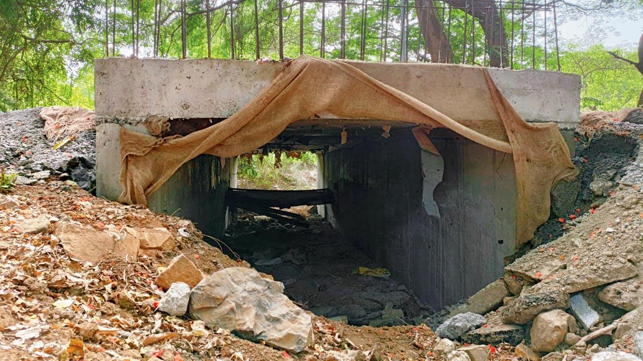 3 wildlife underpasses will be ready soon: BMC