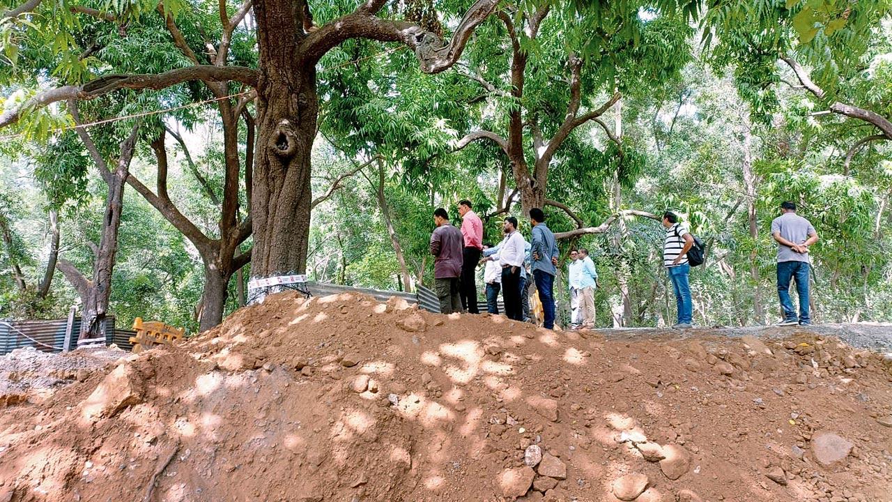 The underpasses in Aarey will also have ramps so that the wild animals can easily cross during the monsoon