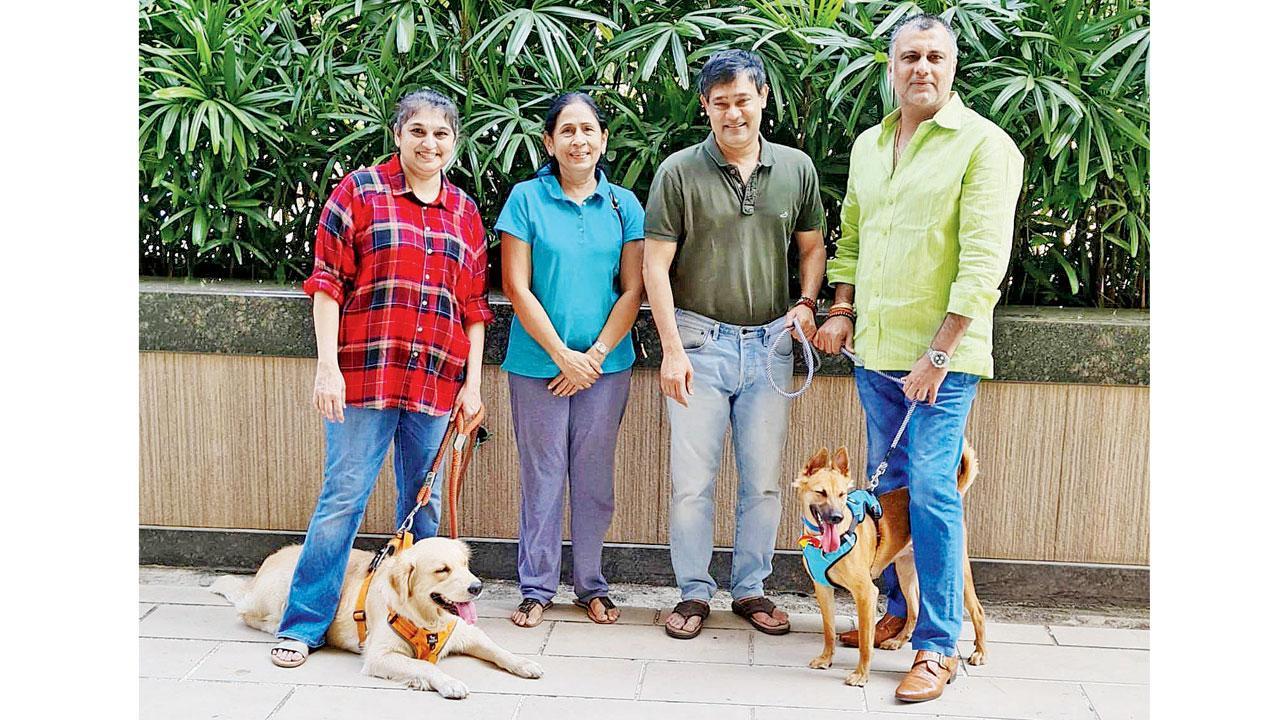 Mumbai: Stray abused at Powai mall finds a home
