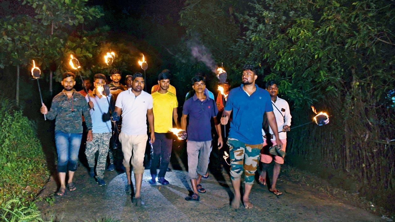 From Chhattisgarh to Maharashtra: Forest dept seeks help of experts to reduce man-elephant conflict