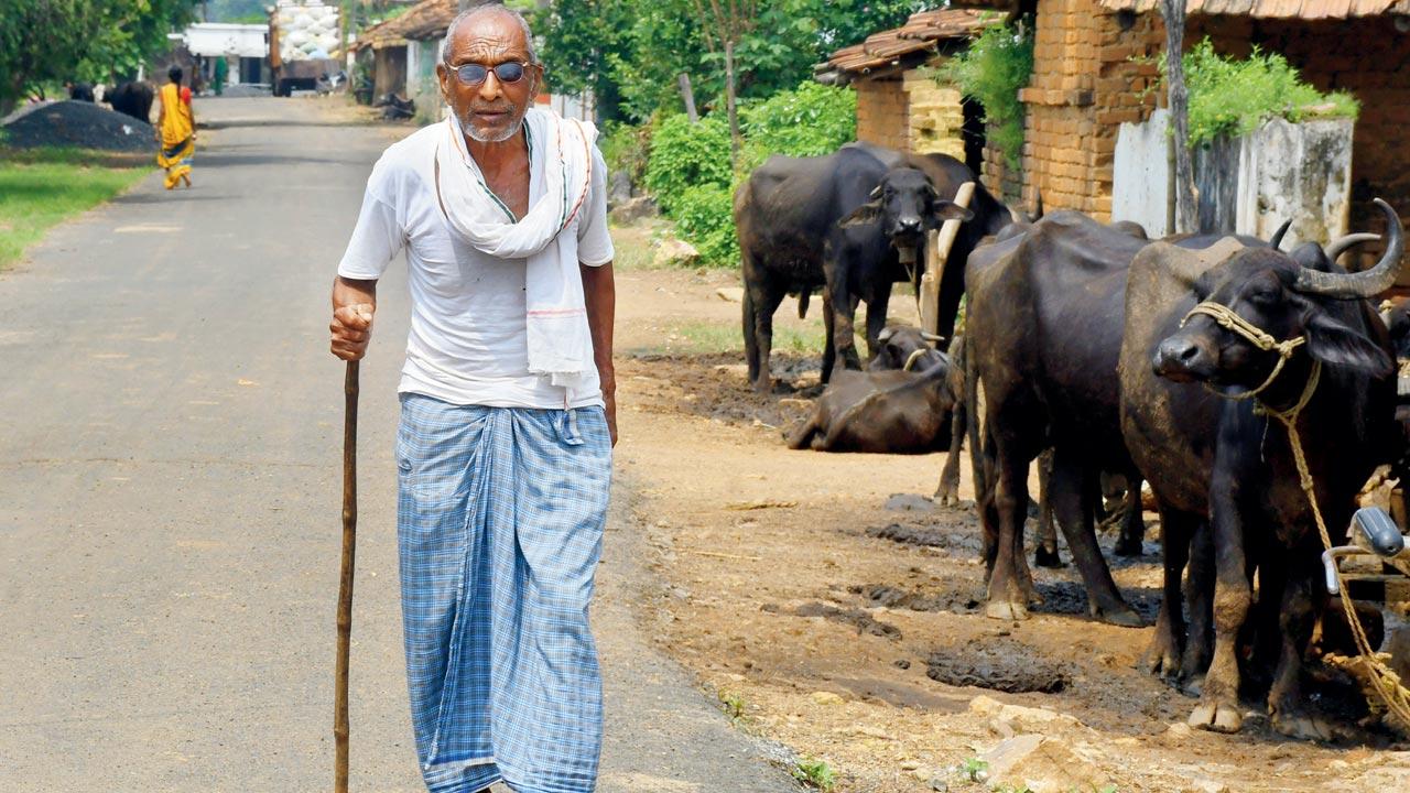 Seventy two-year-old Mukunda Adkuji Meshram, who resides in Khairi village, believes that the elephant is an avatar of God. “Recently, after spotting an elephant at close distance, I went to the nearby temple, prayed and offered a coconut. After that, the elephant went away peacefully from the area,” he claims. Spirituality aside, Meshram has been urging fellow villagers to maintain a safe distance from the herd. Pics/Ashish Raje