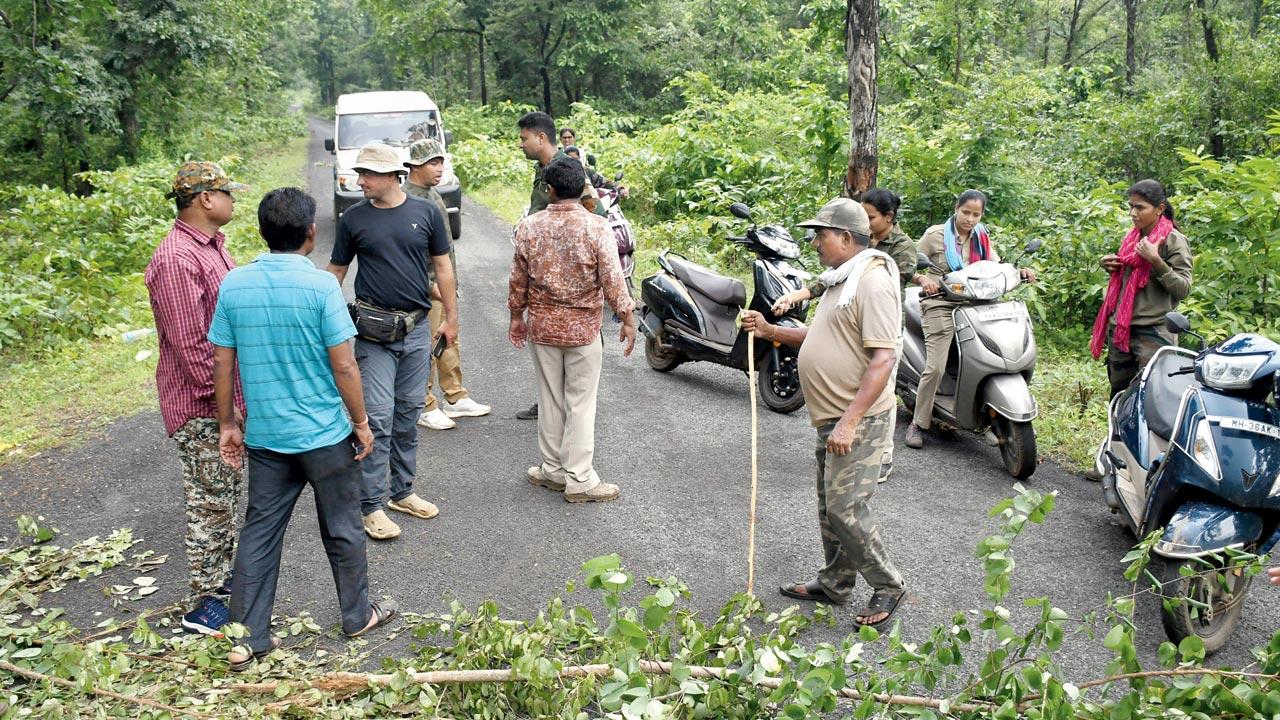 Forest officers barricade a road in Khairi village with branches, preventing villagers from going any further, after receiving reports of elephants being spotted in the vicinity