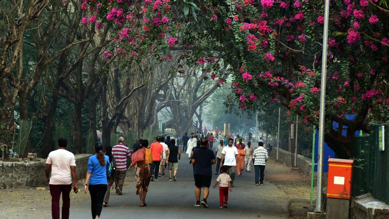 Visitors also like to go for a hike to the Gandhi Tekdi at the park.
