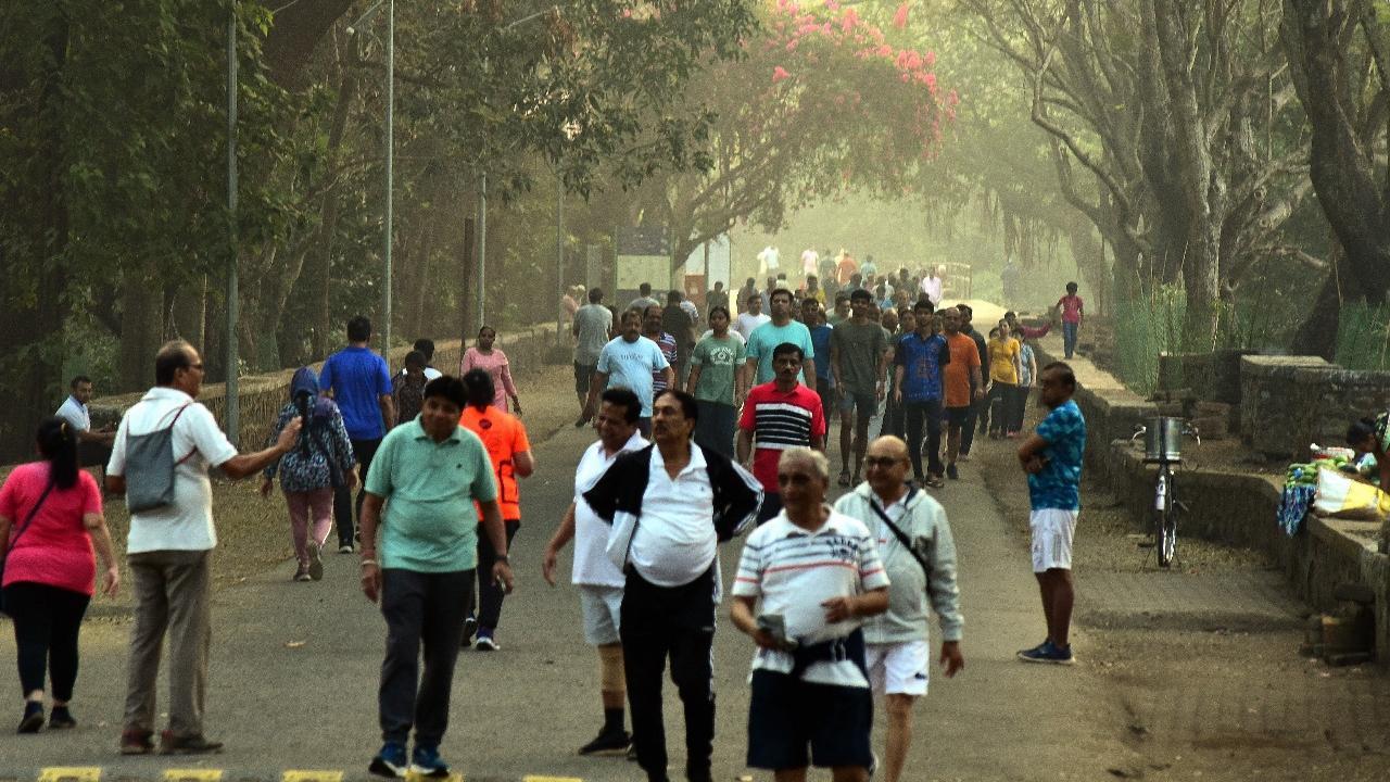 People visiting Sanjay Gandhi National Park on Sunday. Pics/ Nimesh Dave