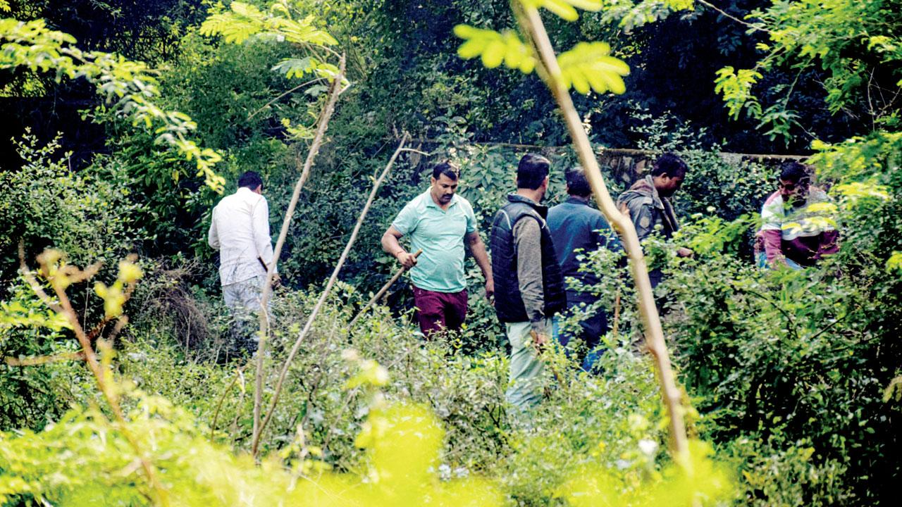 Delhi police officers carry out a search in Mehrauli forest area for bones