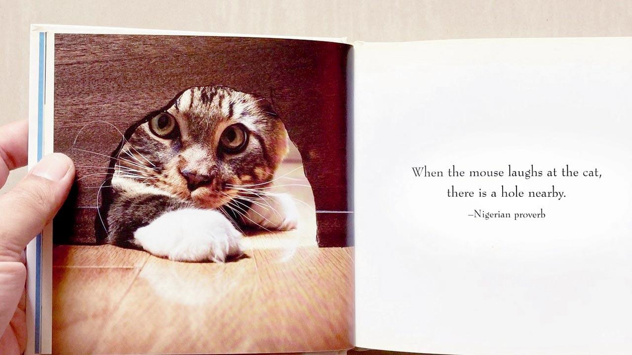 If Cats could Talk - The Meaning of Meow