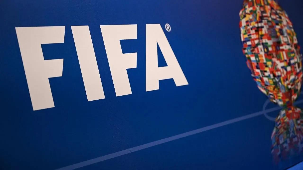 Beer sales banned around Qatar World Cup stadiums: FIFA