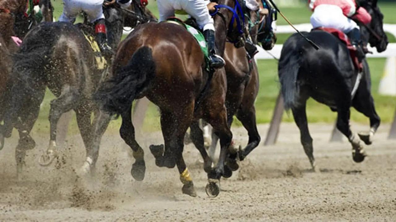 Horse race at Mahalaxmi: Favourites' followers floored