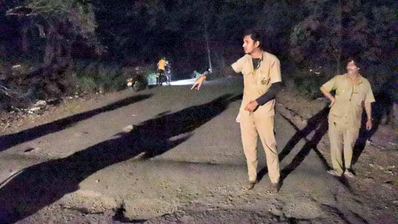 Mumbai: BEST driver rescues woman attacked on road by leopard