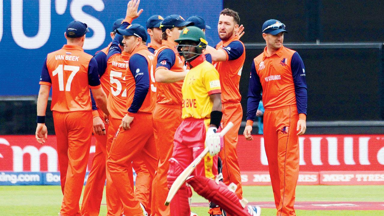 The Netherlands’ Paul van Meekeren (second from right) celebrates the wicket of Zimbabwe opener Wessly Madhevere yesterday