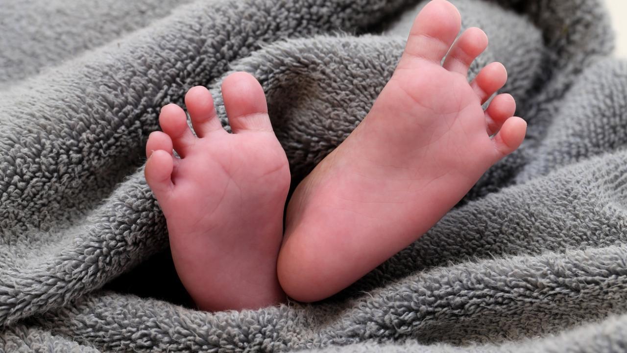 Mumbai: Newborn girl found abandoned on footpath in Borivli